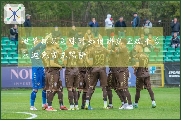 世界杯买足球时如何辨别正规平台和避免常见陷阱